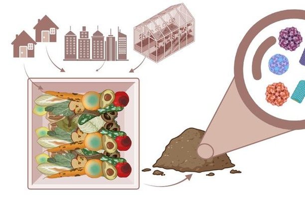 Image for A closer look at viruses and viroids: Together for safer use of fertilizers from organic waste