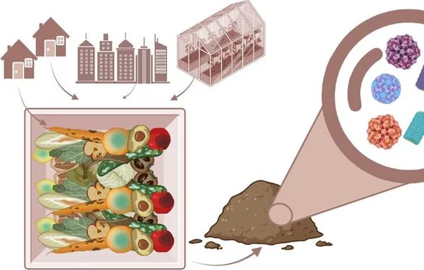 Image for A closer look at viruses and viroids: Together for safer use of fertilizers from organic waste