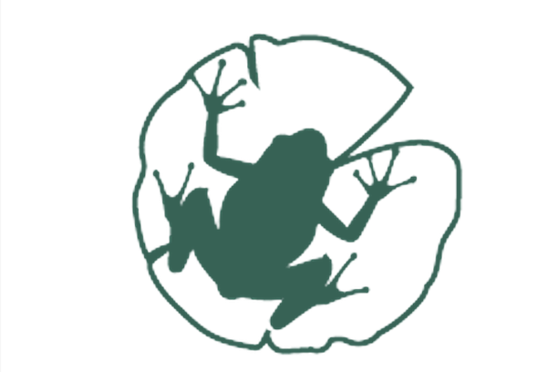 Image for MyPond - Az én kistavam
