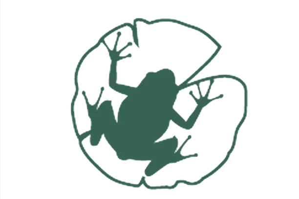 Image for MyPond - Az én kistavam
