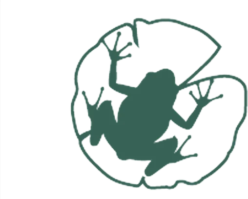 Image for MyPond - Az én kistavam