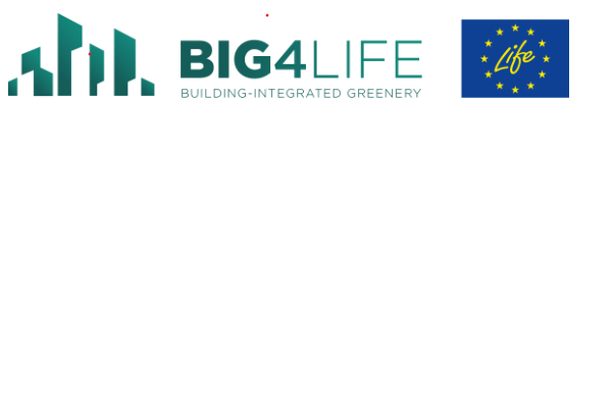 Image for BIG4LIFE