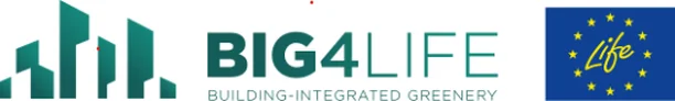 Image for BIG4LIFE