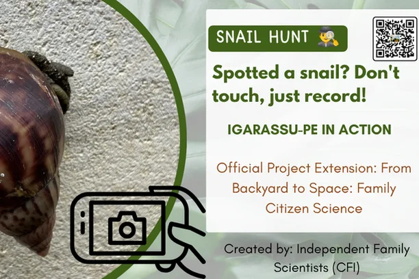 Image for Snail Hunt - Igarassu/PE