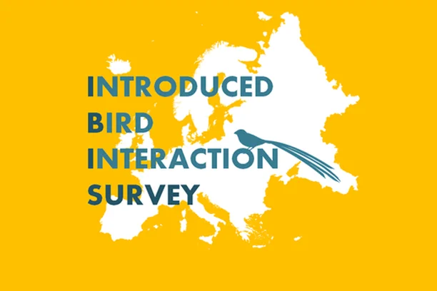 Image for IBISurvey - Introduced Bird Interaction Survey