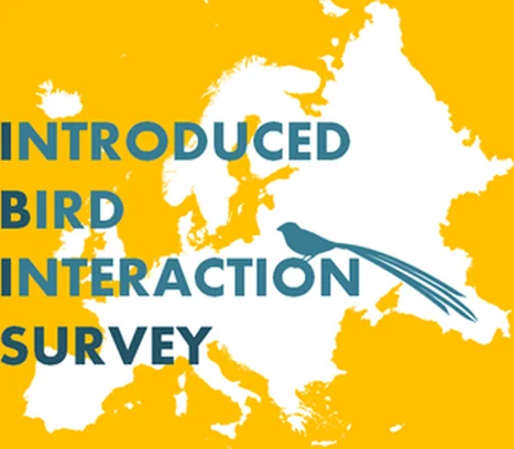 Image for IBISurvey - Introduced Bird Interaction Survey