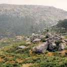image for 