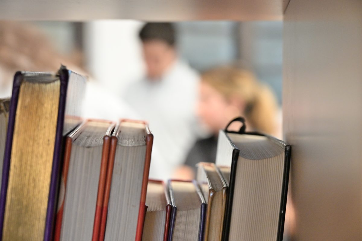 Citizen science activity at a public library