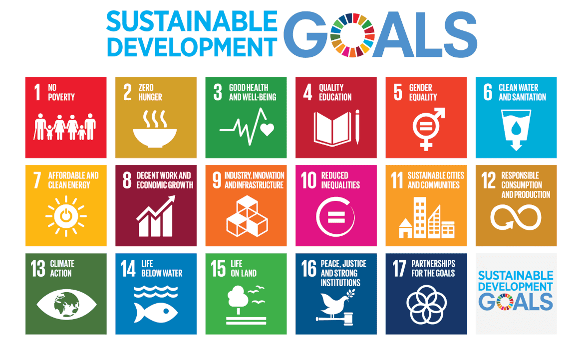 The 17 Sustainable Development Goals